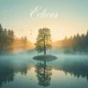 Echoes