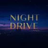 Night Drive