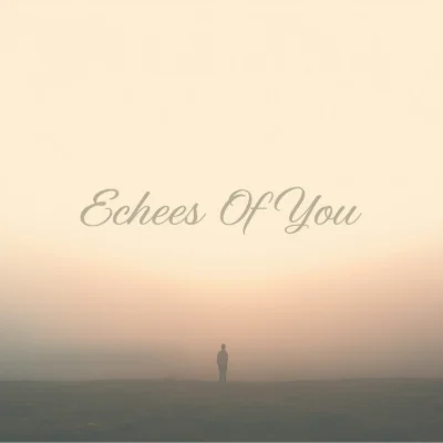 Echoes Of You track cover