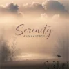 Serenity And Synergy