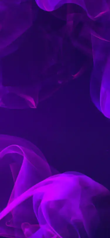 Premium Royalty-Free Music for Every Project