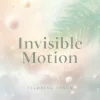 Invisible Motion
