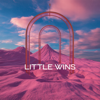 Little Wins