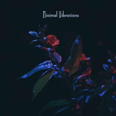 Minimal Vibrations