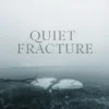 Quiet Fracture