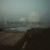 Waves Of Tenderness track cover