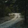 Windy Road